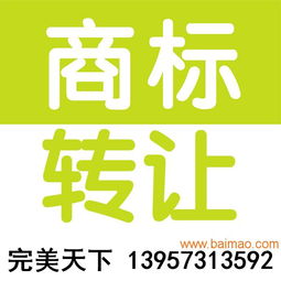 商标转让全攻略 从选择到入驻天猫，一站式解析